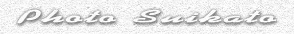 �^�C�g��